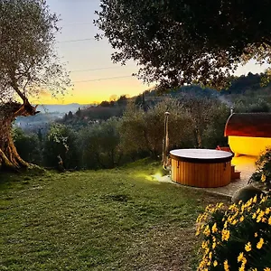 Alloggio per agriturismo Montebello Degli Olivi, Chiusi